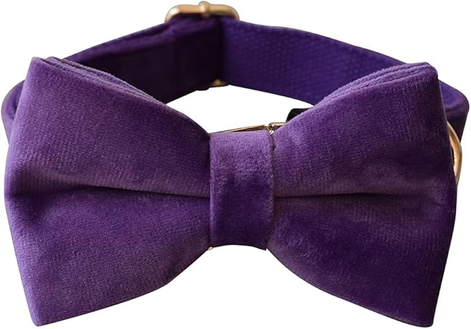 Dog Collar Custom Personalized Engraved Name and Phone Number for Puppy Small Medium Large Pets (XL, Purple)