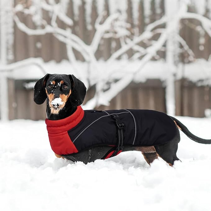Lelepet Dachshund Coat Warm Dog Winter Coat Waterproof Dog Jacket with Fleece Lining, Reflective Outdoor Dachshund Snowsuit with Leash Hole Adjustable Neckline,Coats for Small Medium Dogs,Red, M