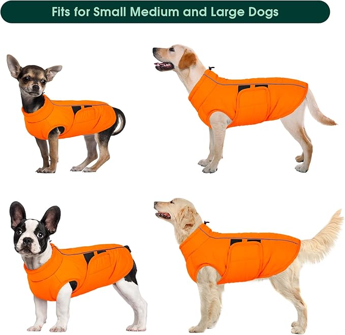 Kuoser Dog Jacket, Winter Dog Coats for Medium Dogs, Reflective Doggie Cold Weather Coats Pet Clothes, Puppy Snow Jacket for Frech Bulldog, Boston Terrier, Orange M