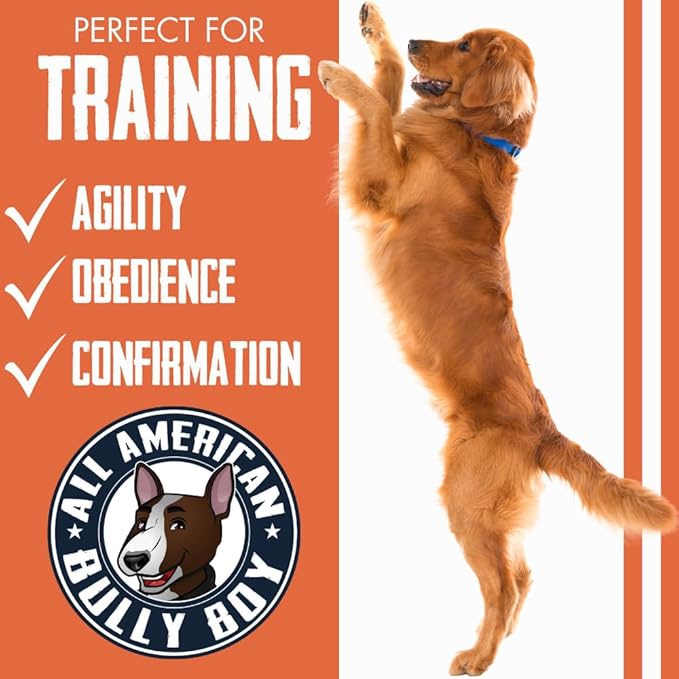 Bully Boy's Famous Beef Sticks Dog Treats | Free from Wheat, Corn, Soy, or Gluten | USA Sourced Ingredients | with Smokehouse Beef | Made in Utah | 15 oz - 1 Pack