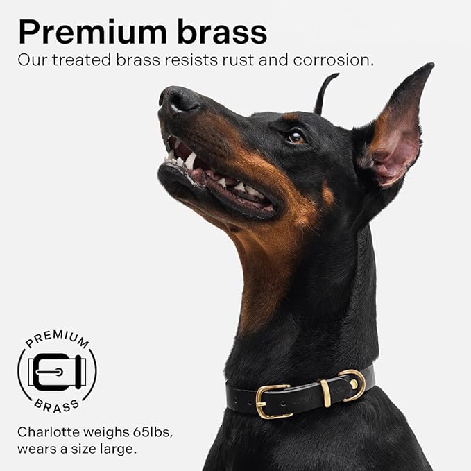 Classic Genuine Leather Dog Collar | Dog Collars for Medium Dogs, Small Dogs, Large Dogs & Extra Large Dog | Wide Dog Collar | Heavy Duty Collar (Black, Large)