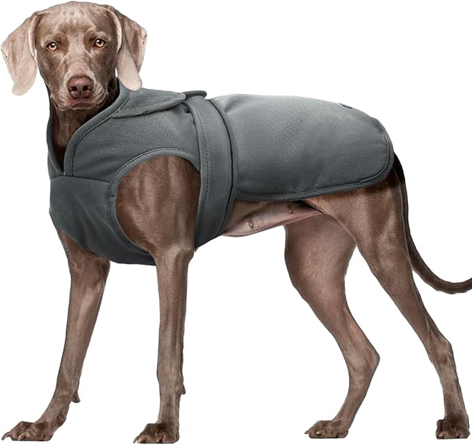Kuoser Canvas Dog Coat, Warm Dog Jacket Reflective Fleece Pet Cold Weather Coat, Warm Doggie Clothes Waterproof Winter Vest with Zipper Leash Hole for Small Medium Large Dogs, Grey L
