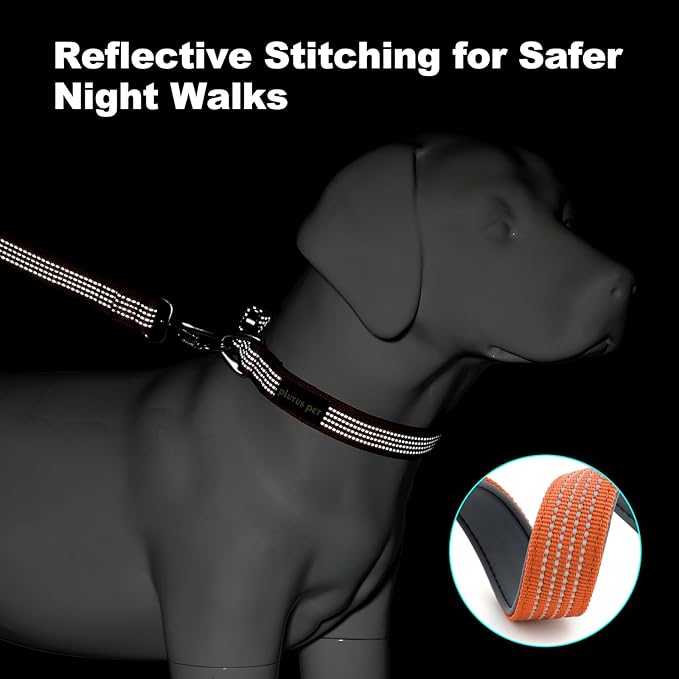 Plutus Pet Reflective Dog Collar with Aviation Aluminum Buckle, Neoprene Padded for Comfort, Lightweight, Heavy Duty Nylon Collar for Puppy Small Medium Large Dogs (Orange, L)
