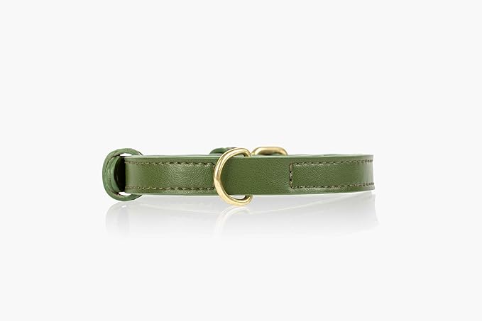 Two Tails Pet Company Cactus Vegan Leather Dog Collar, Adjustable Pet Collar with Gold Hardware and D Rings for Leash and ID Tag for Dogs and Puppies, Easy to Clean & Eco Friendly, Green, Size Small