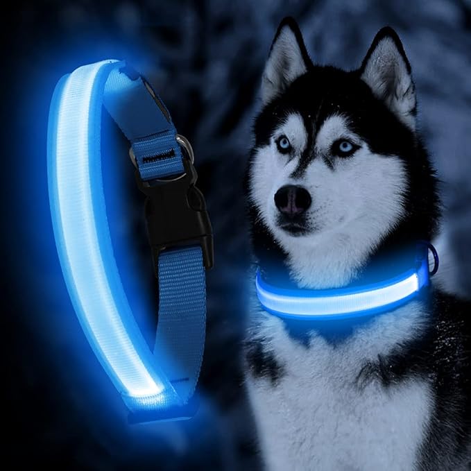 YFbrite Ultra Light Adjustable LED Dog Collar, Light up Dog Collars Rechargeable Glowing in The Dark Collars Visiblity & Safety for Small, Medium, Large Dogs (Blue, Medium)