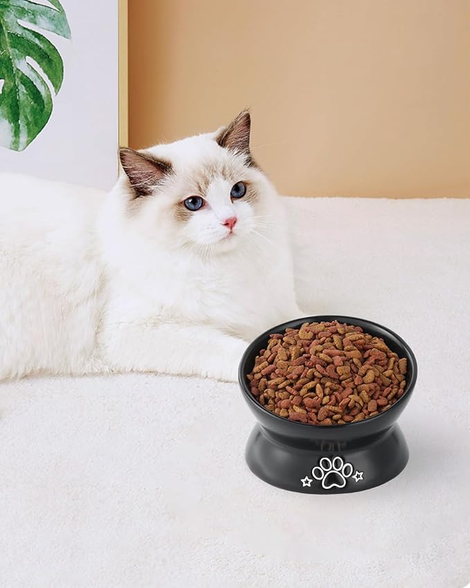 LoeJan Elevated Cat Food Bowl, 5 Oz Ceramic Raised and Tilted Water Bowl, Anti Vomiting and Protect Pets' Spines Dishes for Small Dog, Fat Faced Cat, Kitten (Black Pattern, 1 Pack)