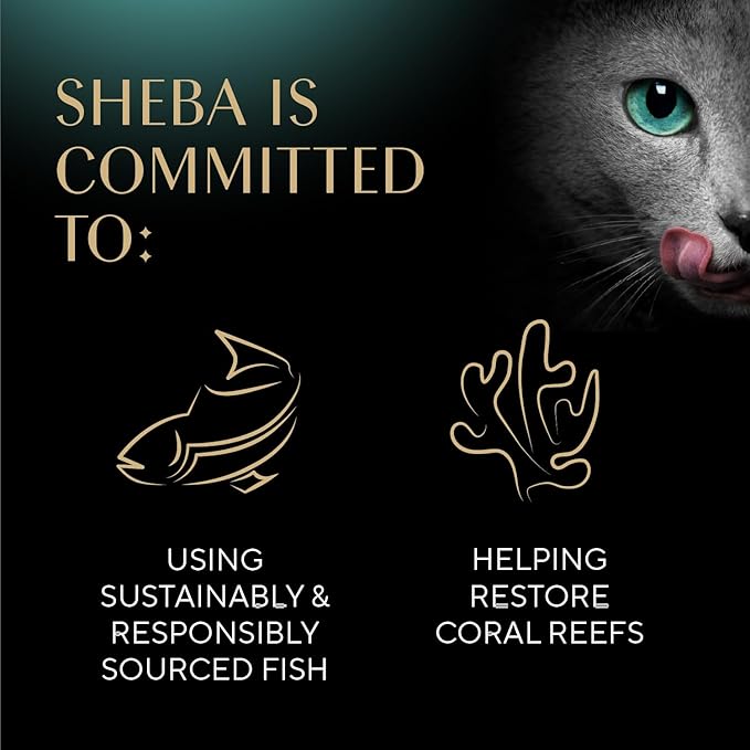 Sheba Perfect Portions Wet Cat Food Pate Savory Chicken, with Sustainable Salmon, and Roasted Turkey Entree Variety Pack, 2.6 oz. Twin-Pack Trays (18 Count, 36 Servings) (Pack of 2)