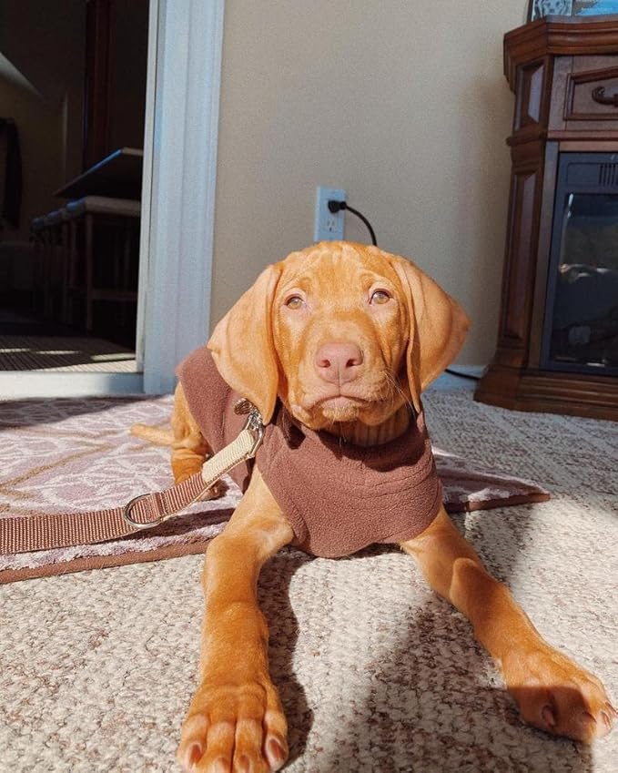 Gooby Stretch Fleece Vest Dog Sweater - Brown, X-Large - Warm Pullover Super Stretchy Fleece Dog Jacket for Small to Large Dogs