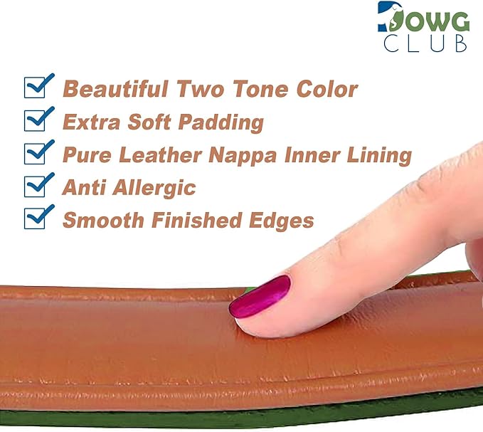 | Formal Tuxedo Shirt Collar Style Genuine Leather Collar for Dogs & Cats | Comfortable, Strong, Cushion Napa Padding (Shirt Collar - Tan, XL (Fit Neck Size 22"-26"))