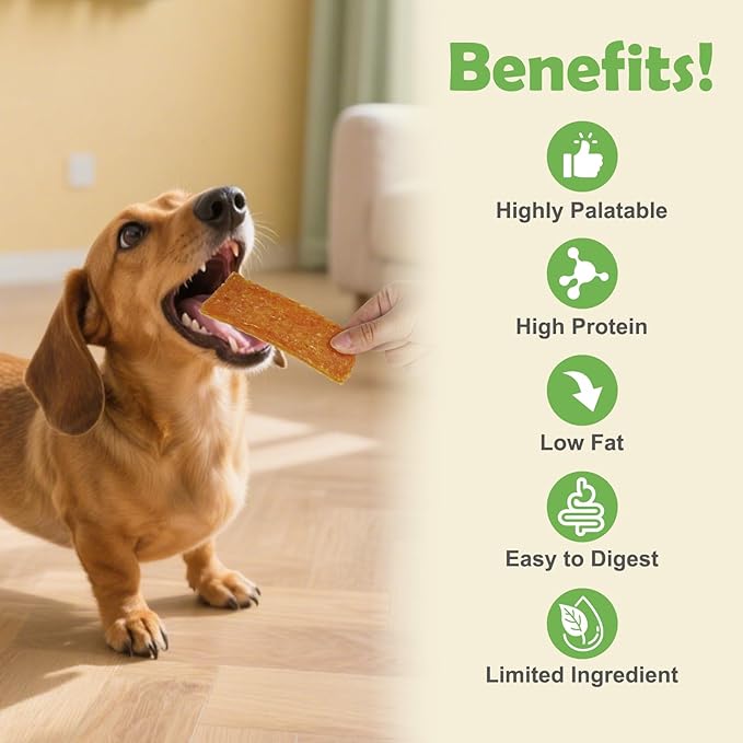 MON2SUN Dog Treats Chicken Jerky Pumpkin Flavor, Rawhide-Free, Gluten-Free, Healthy Jerky Snacks for Small Dogs, 21.2 oz