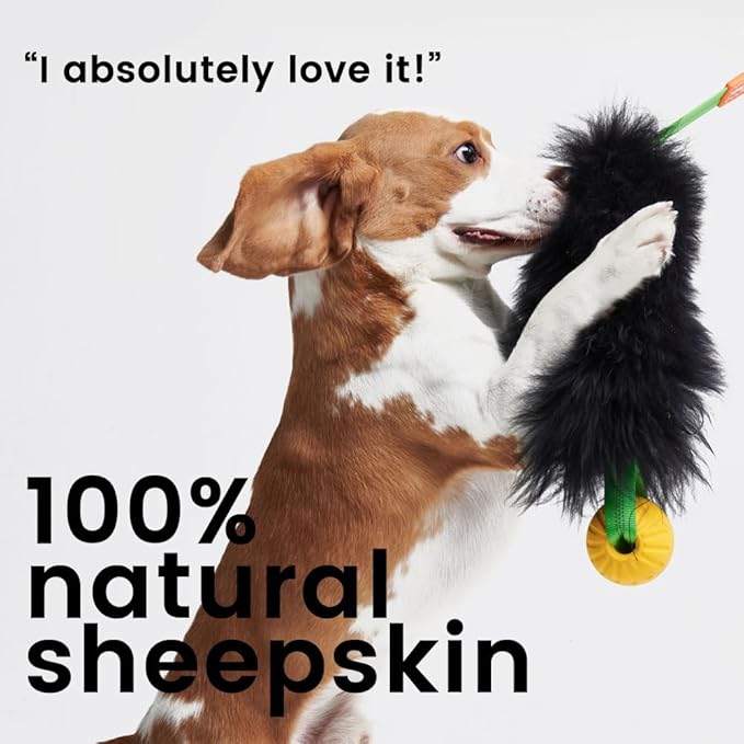 HOWGO Dog Rope Toy,Dog Bungee Chaser Toy 100% Sheepskin,Sheep Smell Tug Toy for All Breeds (Orange, with Rubber Ball)