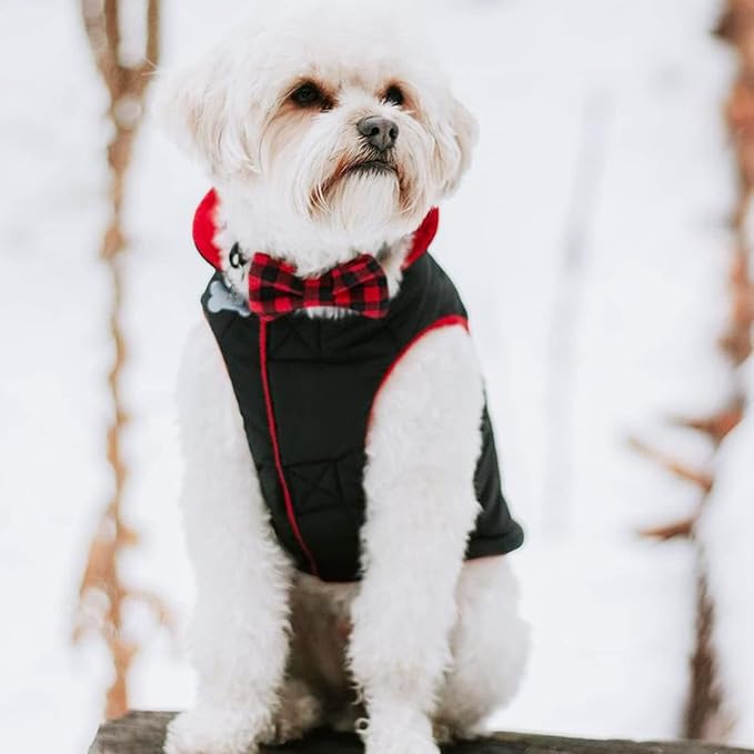 Gooby Sports Vest Dog Jacket - Black, X-Small - Reflective Dog Vest with D Ring Leash Warm Fleece Lined Hook and Loop Closure for Small to Medium Dogs