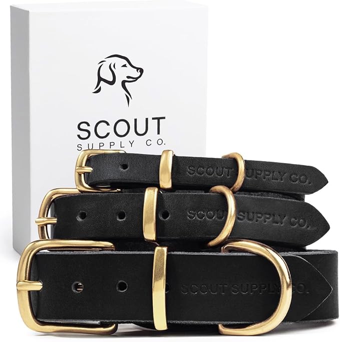 Classic Genuine Leather Dog Collar | Dog Collars for Medium Dogs, Small Dogs, Large Dogs & Extra Large Dog | Wide Dog Collar | Heavy Duty Collar (Black, Large)