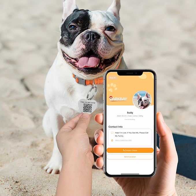 Dog Tags Personalized for Pets,Dog Name Tags QR Code,No Subscription Fees,Modifiable Pet Online Profile,Stainless Steel,No App Required,for Dogs and Cats Small,Medium,Large(Heart,Small)