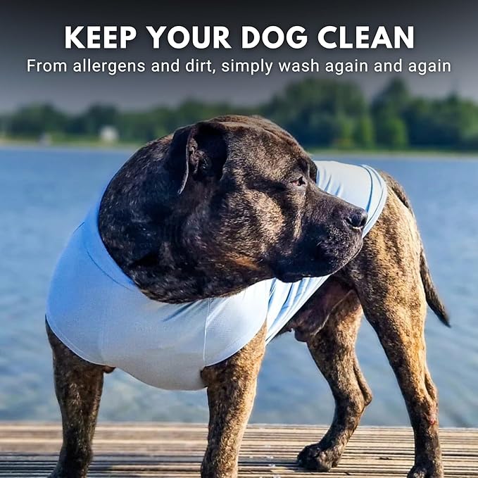 Spark Paws Sunblock Dog T-Shirt, SPF30 Protection, Lightweight Breathable Quick Dry for Dogs with Sensitive Skin - Blue & Mint (Set of 2) - L