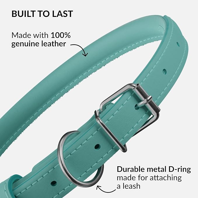 CollarDirect Rolled Leather Dog Collar, Soft Padded Round Puppy Collar, Handmade Genuine Leather Collar Dog Small Large Cat Collars 13 Colors (6-7 Inch, Mint Green Smooth)
