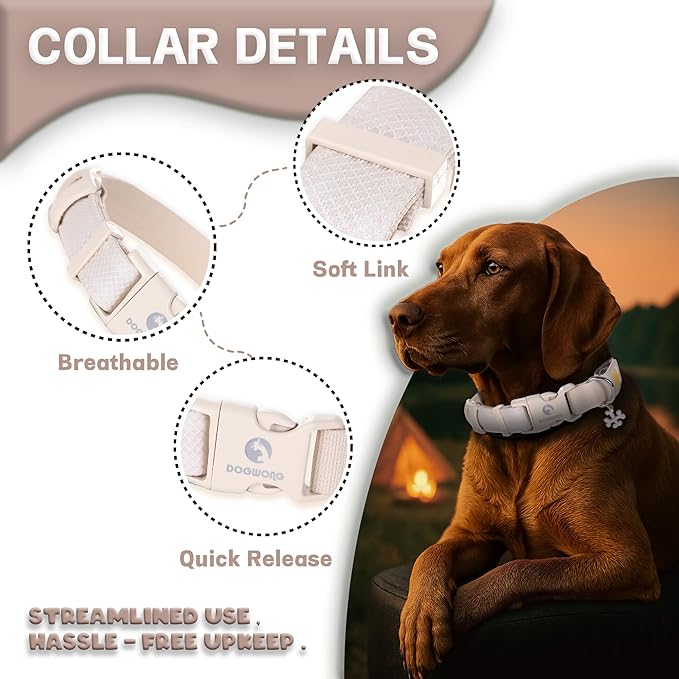 DOGWONG LED Dog Collar - Heavy Duty Light up Collars - Rechargeable Waterproof - Lighted Dog Collar for Night Walking, Hiking, Camping(White,M)