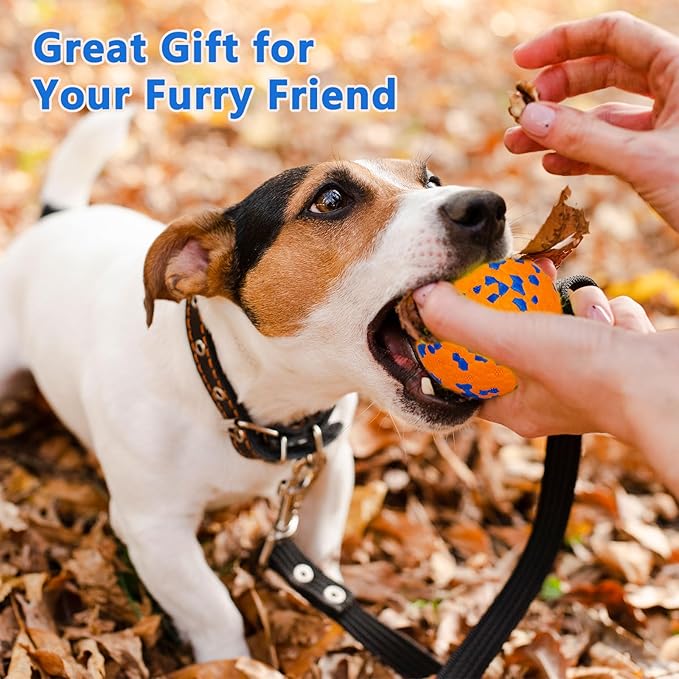 2Pcs Super Bouncy Dog Balls, Fun Indestructible Tennis Balls for Aggressive Chewers, Durable Floating Fetch Toys for Small Dogs with Lifetime Replacement