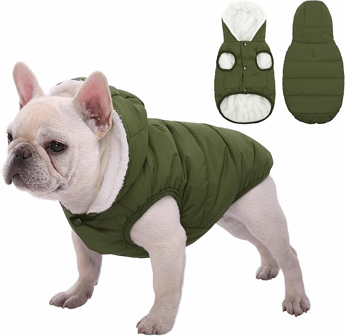 Fleece Hoodie, Windproof Waterproof Coat, Winter Warm Jacket, Cold Weather Pet Apparel Clothes Vest for Small Medium Large Dogs (L, Green)