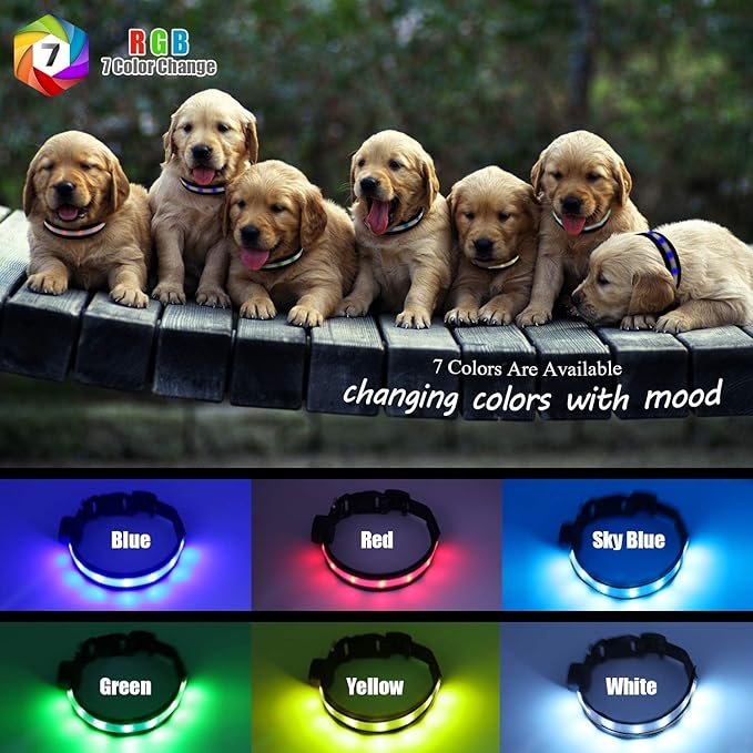 Light Up Dog Collars,Safety LED Dog Collars USB Rechargeable 7 Changing Colors Glow in The Dark Dog Walking Light,Neon Adjustable Safety Buckle Lighted Dog Collar for Small/Medium/Large Dogs, XL Size