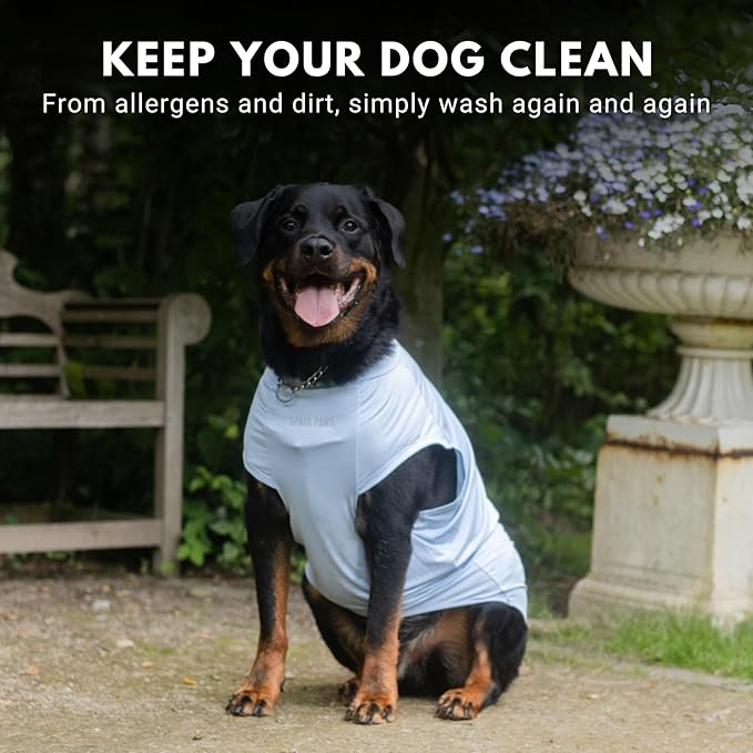 Spark Paws Sunblock Dog T-Shirt, SPF30 Protection, Lightweight Breathable Quick Dry for Dogs with Sensitive Skin - Blue & Grey (Set of 2) - M