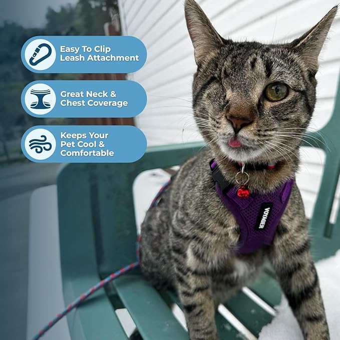 Voyager Step-in Lock Adjustable Cat Harness w. Cat Leash Combo Set with Neoprene Handle 5ft - Supports Small, Medium and Large Breed Cats by Best Pet Supplies - Purple, S