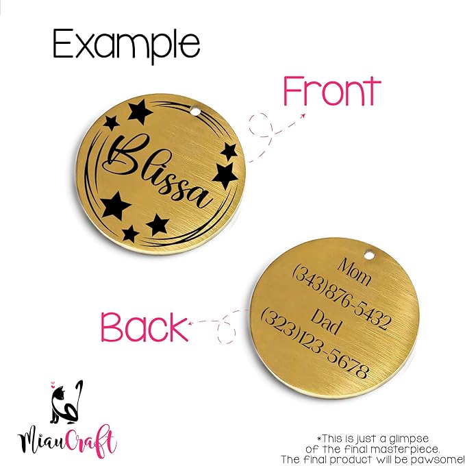 Lifetime Custom Engraved Dog ID Tag – Stainless Steel Pet Tag for Dogs & Cats, Double-Sided Personalization | Fits Collar, Harness, Leash (Golden Round)