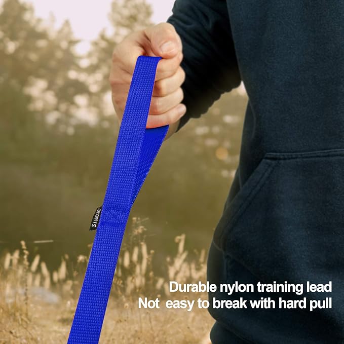 Dog/Puppy Obedience Recall Training Agility Lead - 15ft 20ft 30ft 40ft 50ft Training Leash - Great for Play, Camping, or Backyard - Blue 50ft (Blue, 50 Feet)