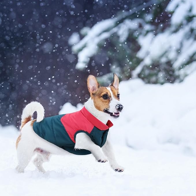 ASENKU Dog Winter Coat - Waterproof Windproof Dog Jacket, Warm Snowproof Doggie Puffer Vest for Cold Weather, Lightweight Snow Coats for Small Medium Large Dogs (Red&Navy, XXXL)