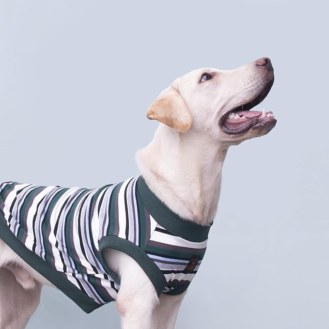 Extra Large Dog T Shirts Clothes Sleeveless Tank Top Vest for Labrador Rottweiler Great Dane, Green, 5X-Large