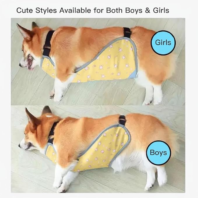 Waterproof Belly Shield for Corgis & Dachshunds – Adjustable underbelly Protector. Male/Female Designs. Stays Dry in rain, mud & Grass. Ideal for Sensitive Skin (Yellow - Male, L)