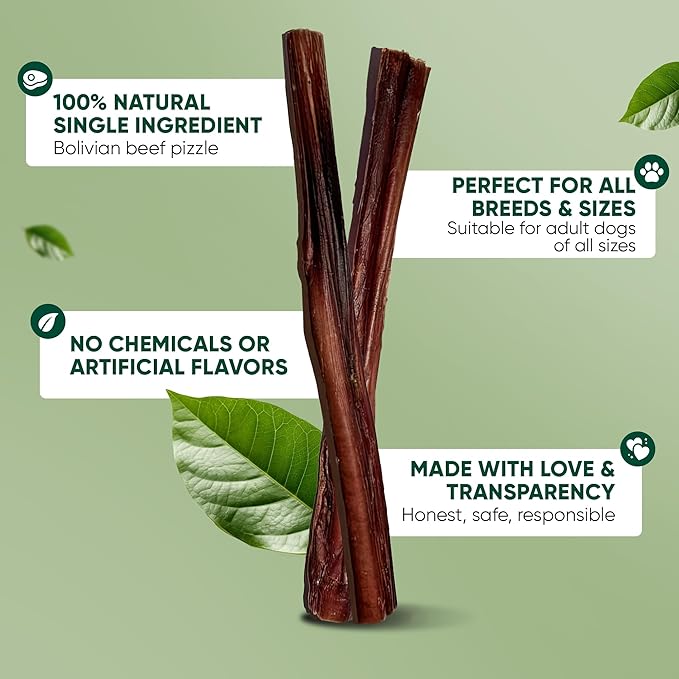 MASSTICK Bully Sticks for Dogs 7 Inch – Extra Thick, Long Lasting, Odor Free Beef Dog Chew Sticks – All Natural, Fully Digestible Treats for Small & Large Dogs – 8oz Bag