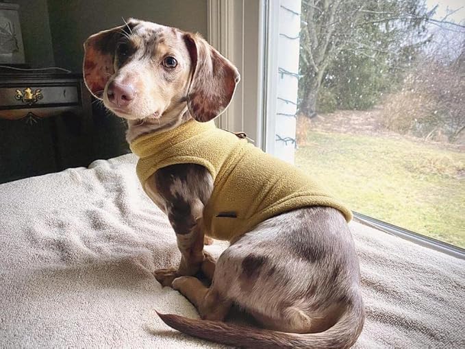 Gooby - Fleece Vest, Small Dog Pullover Fleece Jacket with Leash Ring, Honey Mustard, X-Small