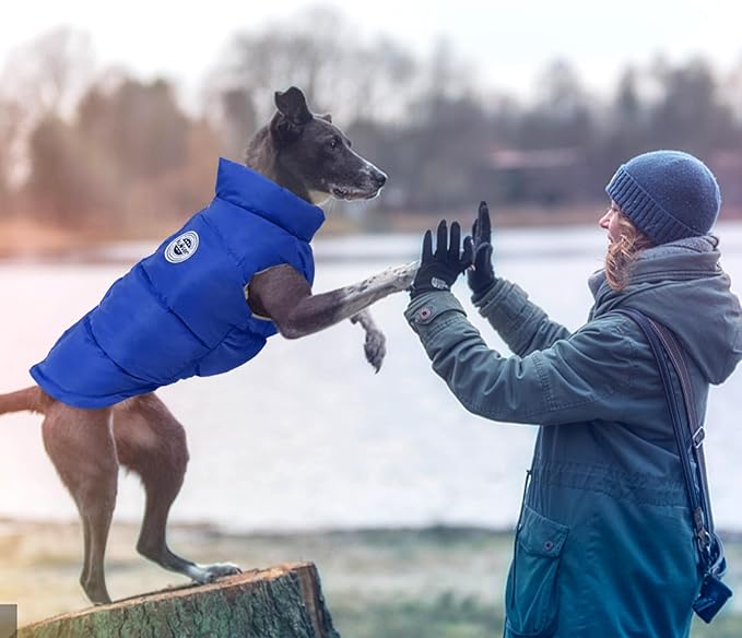 Kuoser Dog Coat Warm Dog Puffer Jacket, Windproof Dogs Padded Vest Lightweight Cold Weather Coats Pet Snowsuit Soft Puppy Winter Clothes for Medium Large Dogs, Button Design, Easy On/Off, Blue L
