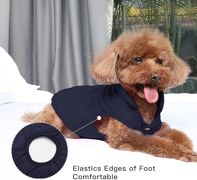 2 Layers Fleece Lined Warm Dog Jacket for Puppy Winter Cold Weather,Soft Windproof Small Dog Coat,Blue XS