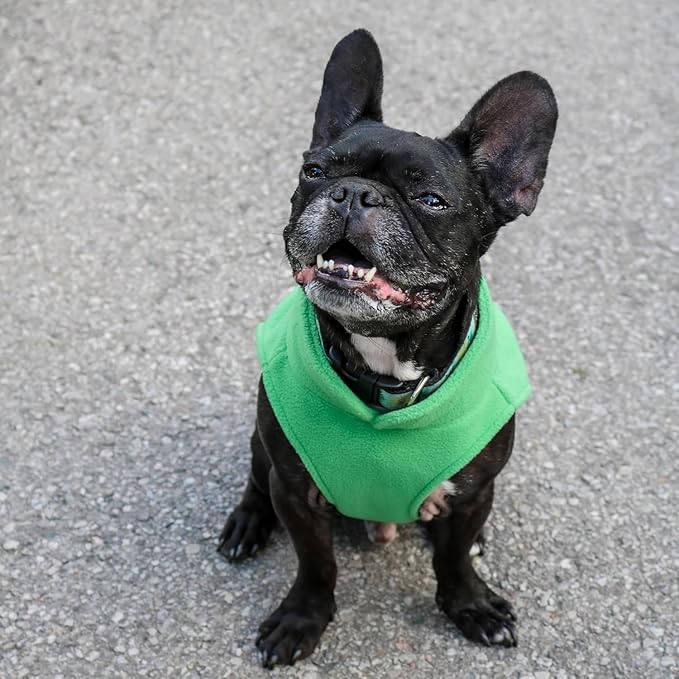 JACKO & CO - Fleece Vest Dog Sweater with Leash Ring - Soft, Warm & Lightweight Pullover Coat for Small & Medium Dogs, Puppies & Cats - Cozy Fall/Winter/Spring Pet Jacket (Green, XX-Large 25-35lbs)