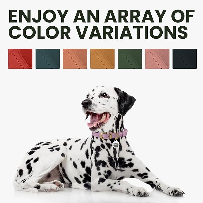 BronzeDog Rolled Leather Dog Collar with QR ID Tag, Adjustable Soft Round Collars for Small Medium Large Dogs Puppy (7" - 10" Neck Size, Light Brown)