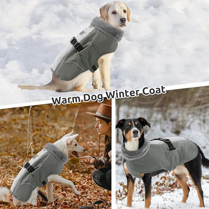 Queenmore Dog Winter Jacket, Fleece Dogs Vest for Winter, Dog Cold Weather Coats, Puppy Coats for Medium Breeds Waterproof, Pet Snowsuit with Leash Hole, Grey, M