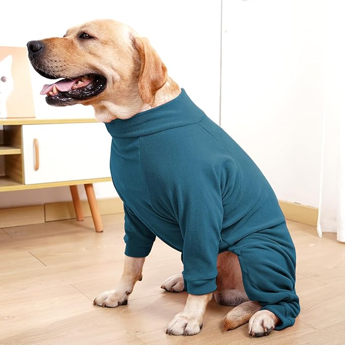 Dog Winter Coat for Small Medium Large Dog Run Walk Sleep Pet Warm Fleece Sweater & Windproof Pajamas Snow Jacket XL Turquoise