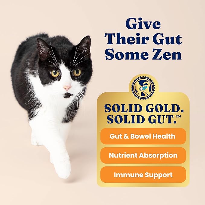 Solid Gold Dry Cat Food for Indoor Cats of All Ages - W/Lamb, Brown Rice, Barley, Probiotics & Fiber for Gut Health- Holistic & Healthy Cat Kibble for Kittens & Adults - Dry Kibble for Cats - 4 LB