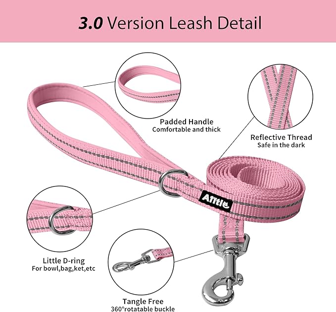AIITLE Small Harness for Puppy with A Leash - Summer Dog Vest Harness with Super Breathable Mesh, Reflective No-Pull Pet Harness for Outdoor Walking, Camping for Small Dogs, Cats Pink XXS