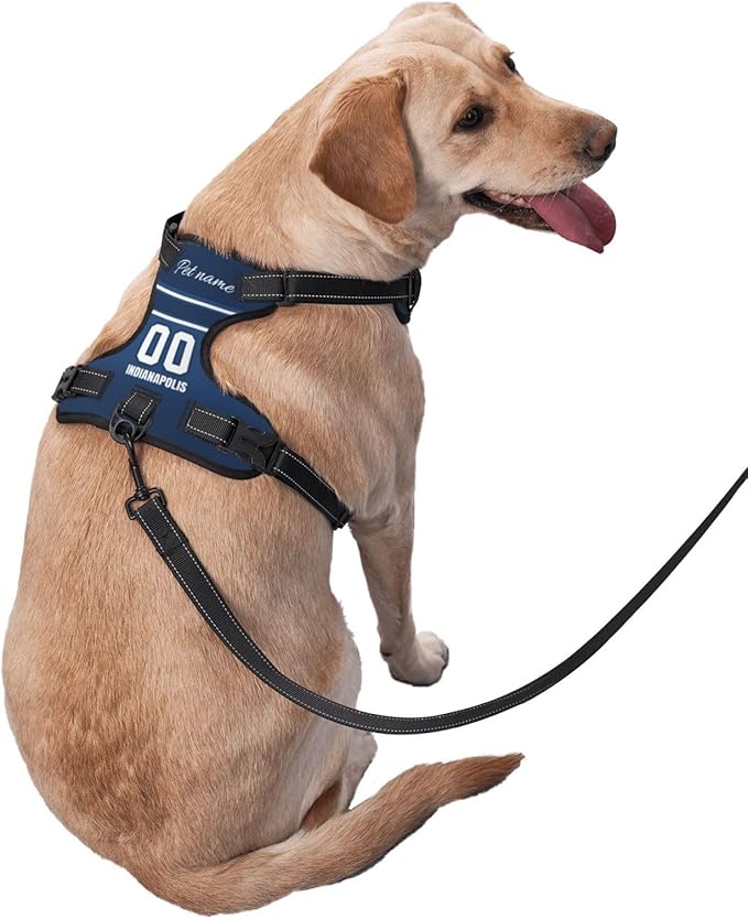Custom Indianapolis Dog Harness with Reflective Stripes Personalized Name and Number Dog Vest Harness with Pet Traction Rope for Small Medium Large Dog