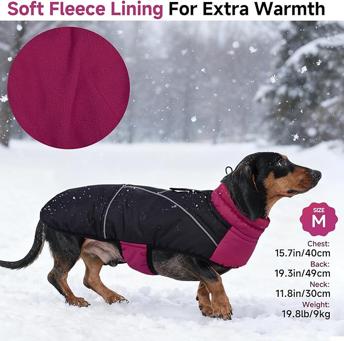 DORA BRIDAL Dachshund Coat, Fleece Lined Dog Winter Coat, Warm Dog Coats with Reflective Strips, Adjustable Waterproof Pet Jacket Clothes, M