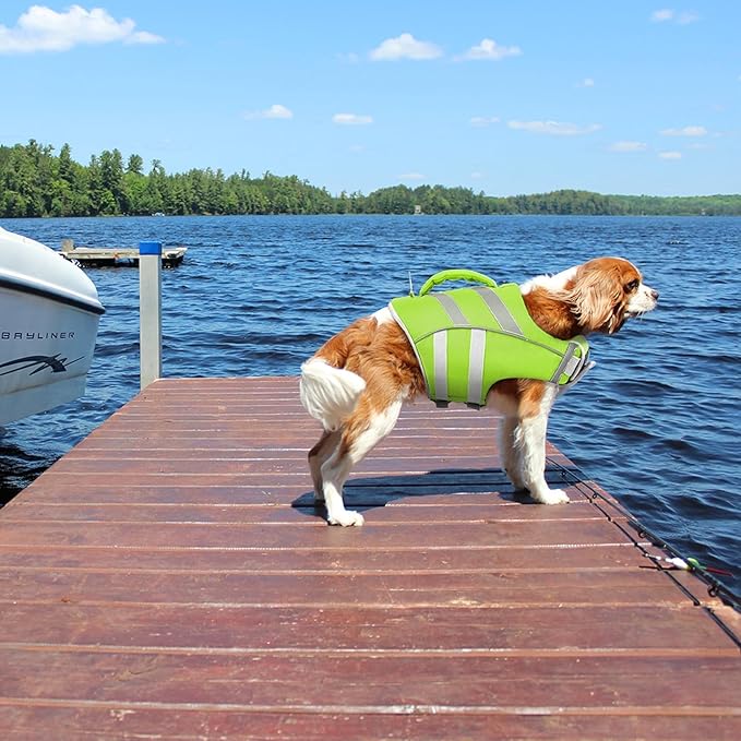 Kuoser Small Dog Life Jacket with Reflective Stripes, Adjustable High Visibility Dog Life Vest for Swimming & Boating, Green XS