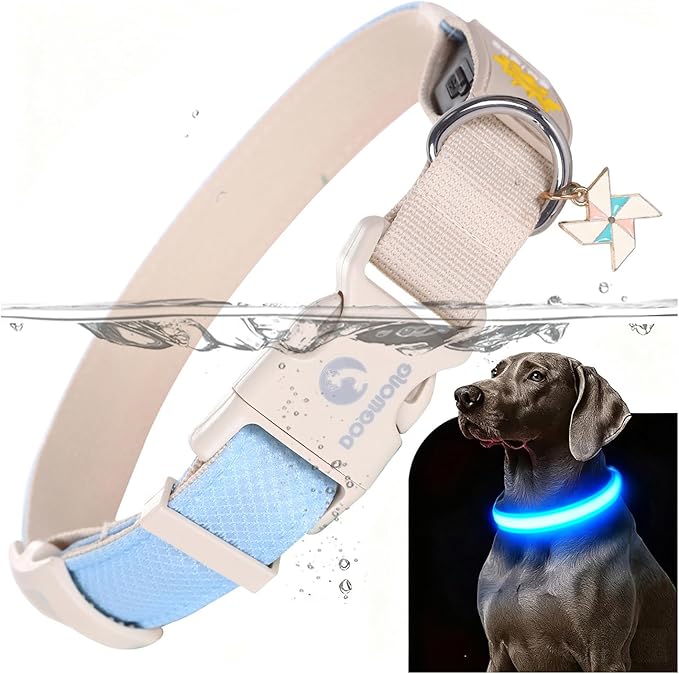 DOGWONG LED Dog Collar - Heavy Duty Light up Collars - Rechargeable Waterproof - Lighted Dog Collar for Night Walking, Hiking, Camping(Blue,S)