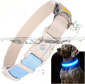 DOGWONG LED Dog Collar - Heavy Duty Light up Collars - Rechargeable Waterproof - Lighted Dog Collar for Night Walking, Hiking, Camping(Blue,S)