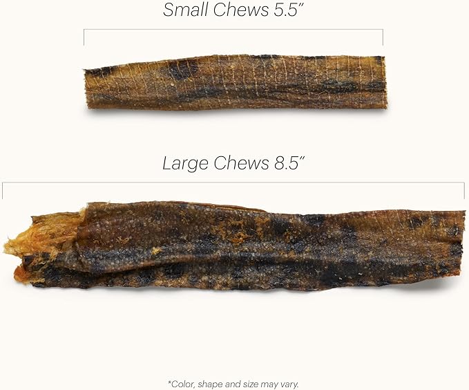 The Honest Kitchen Ocean Chews Hearty Wolffish Skins Dog Treats, 6 oz (Beams)