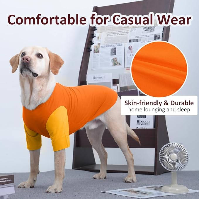 2 Pack Dog Shirt for Medium Dogs - Soft Breathable Summer Cool Tee, Lightweight Comfortable Clothes for Sensitive Skin, Jack Russell, Shihtzu, Indoor Lounging, Walking, Park Play, Orange