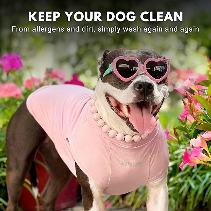 Spark Paws Sunblock Dog T-Shirt, SPF30 Protection, Lightweight Breathable Quick Dry for Dogs with Sensitive Skin - Purple & Pink (Set of 2) - M