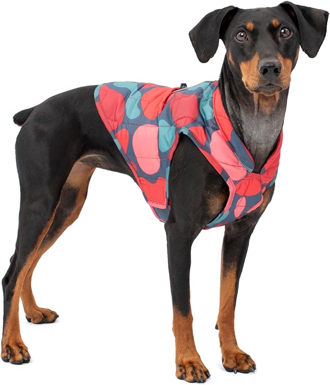 Kurgo Loft Dog Jacket - Reversible Cozy Coat for Outdoor Adventures - Water Resistant - Athletic Fit - Machine Washable Fabric - Reflective Dog Gear - Large - Lava Lamp